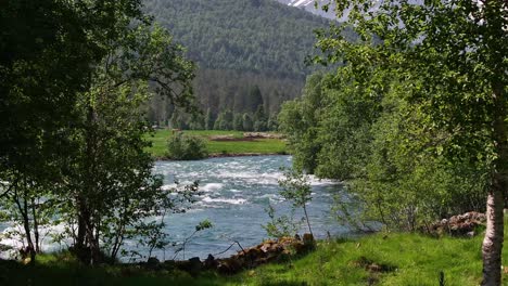 the river valldøla in valldal