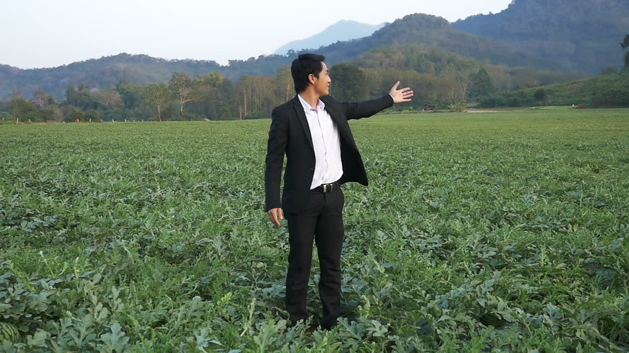 Businessman in a Watermelon Field