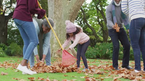 Montage-of-three-generation-african-american-family-at-home-and-park