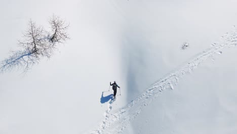 lone hiker snowshoeing uphill on deep snow trail, leaving tracks, winter sports, solitude, endurance in pristine nature. aerial drone top-down view, copy space