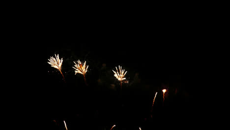 hermosa celebración abstracto colorido espectáculo de fuegos artificiales en el fondo de la noche