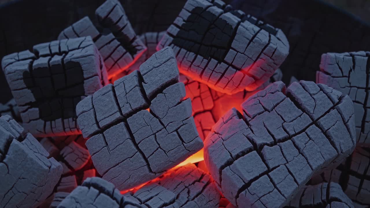 briquetas de carbón de leña