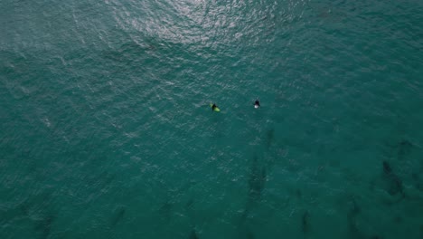 two surfers surfing with baords at blue clear turquoise waves in the sea ocean water