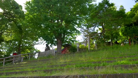 Cinematic-slow-motion-slider-over-overgrown-abandoned-shrine-in-Japan