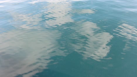 reflecting surface of turquoise clear water from a driving boat