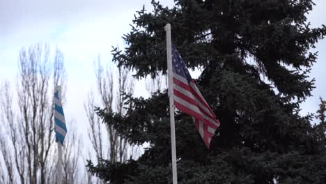 las banderas de estados unidos e israel fueron disparadas.