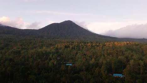 Üppiger-Wald-Mit-Tropischen-Bäumen-Im-Dorf-In-Der-Nähe-Der-Reisterrassen-Von-Jatiluwih-Im-Westen-Von-Bali,-Indonesien