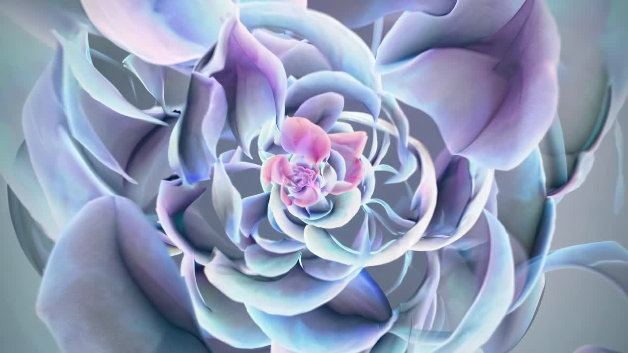Abstract close-up of a succulent with pastel hues, captured from a top-down angle