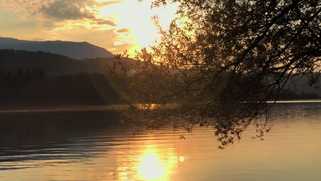 push in to past leaves to reveal a beautiful lake at sunset with a golden glow