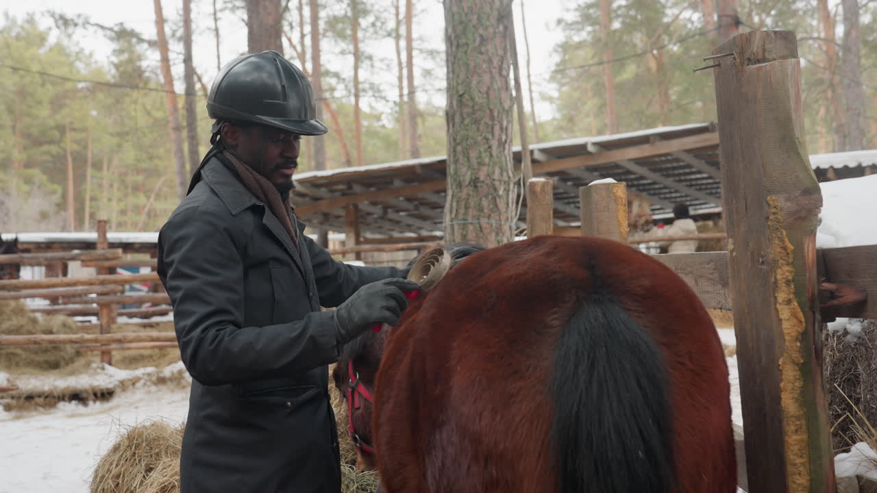 Revisión del bienestar del caballo antes de la sesión de monta; cuidadoso examen previo a la monta realizado por un mozo de cuadra experto; evaluación de salud exhaustiva por parte del trabajador antes de que el caballo comience la actividad de monta