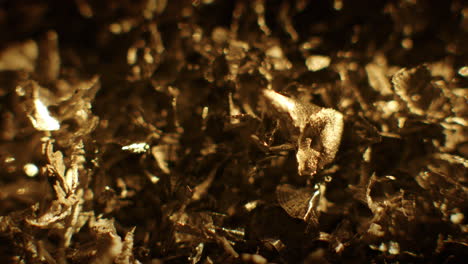 golden color metal fillings