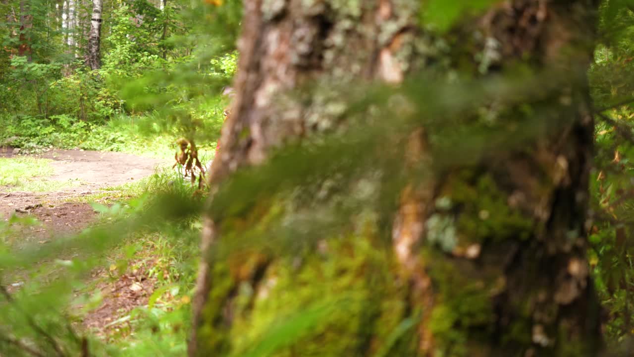 숲에서 휴식을 취하는 사람