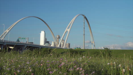 low angle - the dallas skyline is framed by the margaret mcdermott bridge with the iconic reunion tower in the center