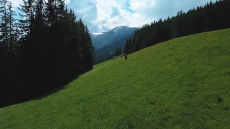 Vuelo-Aéreo-De-Drones-En-El-Pintoresco-Zillertal-Con-Una-Persona,-Una-Mujer-Joven-Haciendo-Senderismo-Y-Trekking-En-La-Naturaleza-En-Un-Valle-De-Montaña-De-Vacaciones-En-Los-Alpes-Bávaros-Austríacos-En-Un-Día-Soleado-De-Verano-Exuberante-En-Un-Campo-Verde