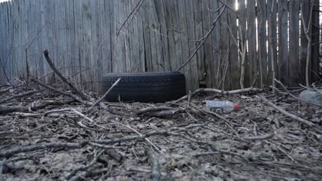 Tire-in-Chicago-backyard