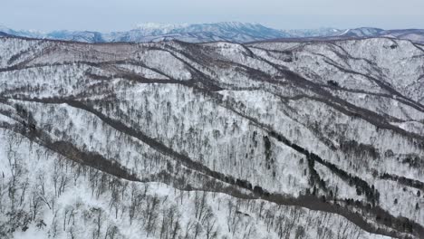 white snow mountain range peaks in winter at nozawa onsen nagano japan, aerial