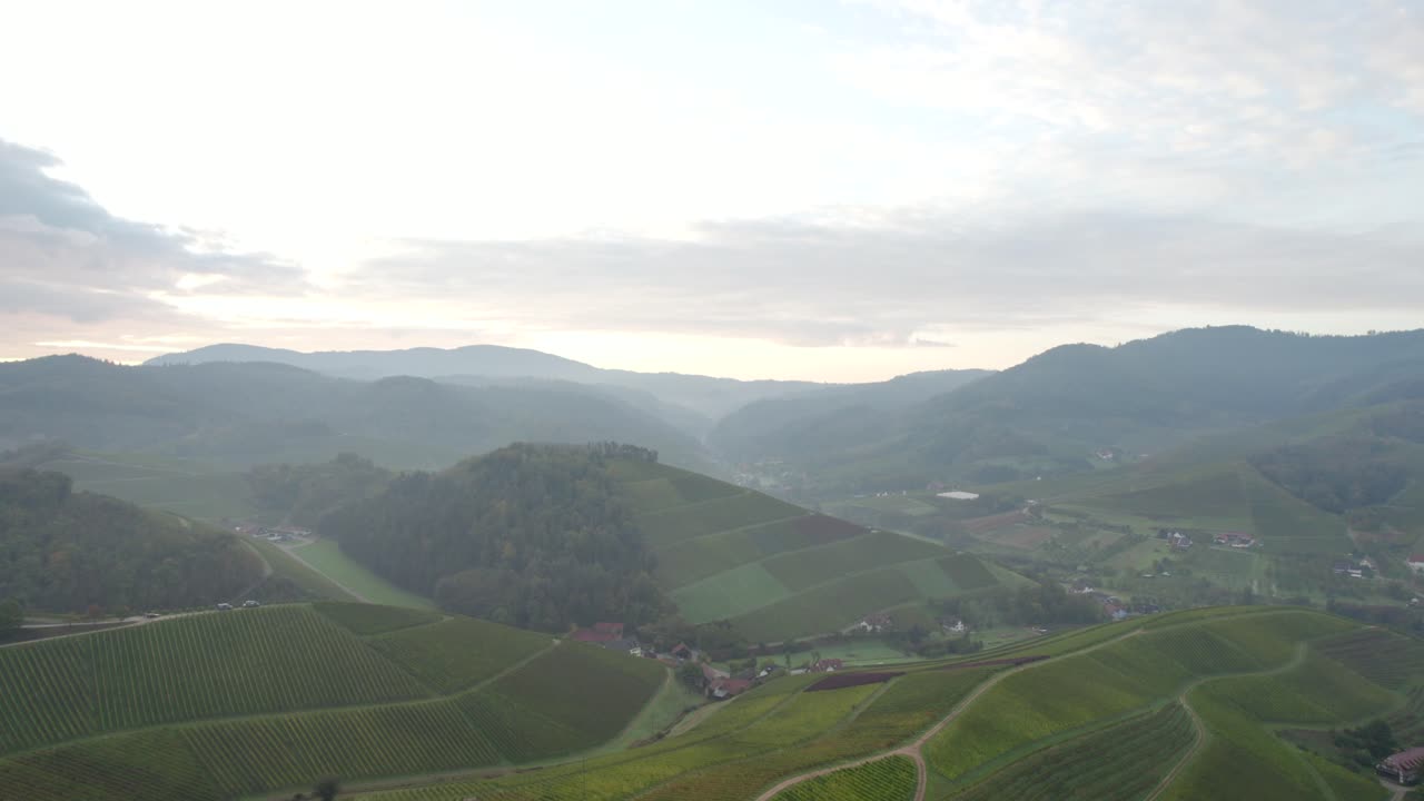 ドイツ、デュルバッハのブドウ畑の絶景を映し出す