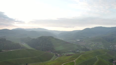 Reveal-scenic-view-of-vineyards-of-Durbach,-Germany