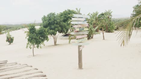 Señalización-Erosionada-Y-árboles-En-La-Soleada-Playa-De-Arena,-Cámara-Lenta