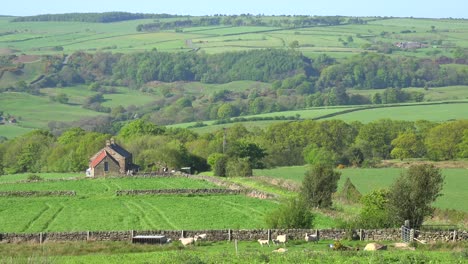 Cabañas-Muy-Pintorescas-Forman-Una-Aldea-Rural-En-Inglaterra,-Irlanda,-Gales-O-Escocia-1