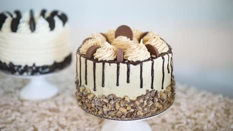 Close-up-of-delicious-cakes-variety-on-display-at-wedding-buffet