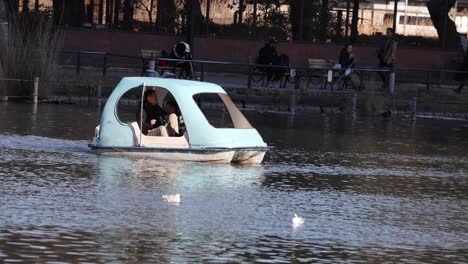 people enjoying a pedal boat ride on water