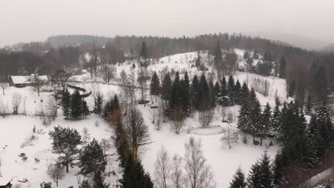 Winter-journey-through-the-enchanting-landscapes-of-Poland-as-seen-from-a-drone's-perspective