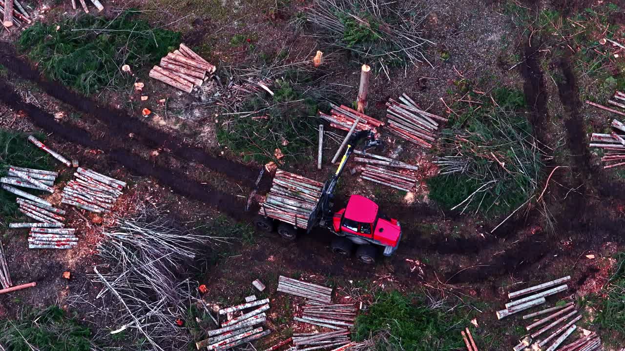 Forwarder machine loading and transporting timber logs from a deforested area