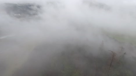 static shot of heavy fog covering the canopy below the wallace monument in stirling