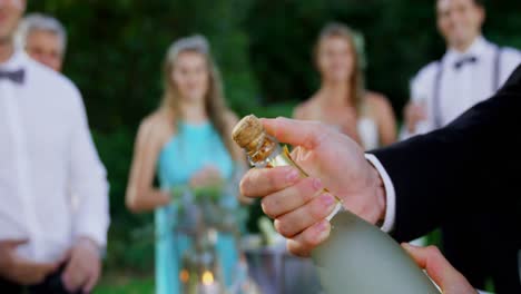 champagne toasting ceremony in background guests applauding 4k 4k