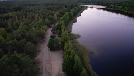 Aerial-view-of-lake-in-the-middle-of-the-forest