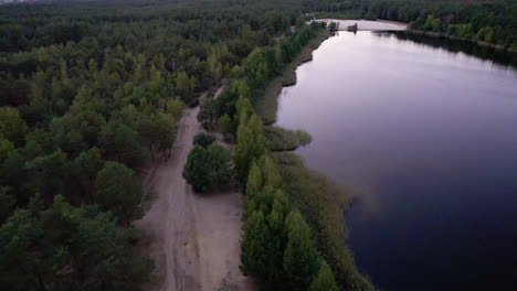 aerial view of lake in the middle of the forest