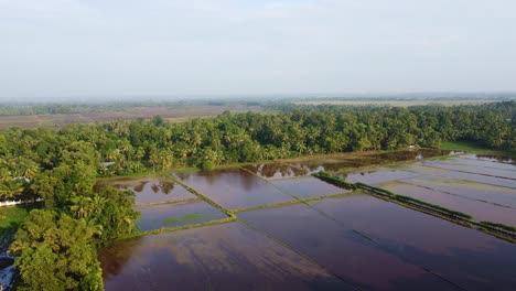 high angle shot field edges, land prepared for cultivation ,the field has been plowed and watered for cultivation, rice fields in asia , , aerial shoot