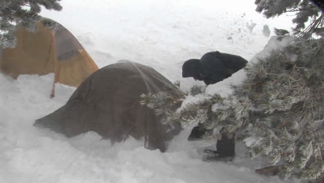 Ein-Wintercamper-Schaufelt-Schnee-Von-Seinem-Zelt