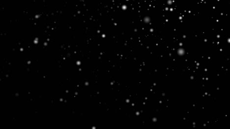 falling snowflakes with black background