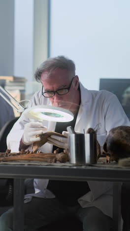 archaeologist examining ancient remains in laboratory