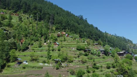 aerial view short of jibhi himachal pradesh in india. houses and trees in the mountainous area. faguli festival is one of the biggest festival in jibhi. the traditional houses here have stone roofs.