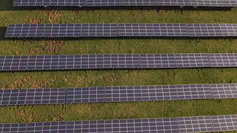 Endless-rows-of-solar-panels-standing-on-a-lush-green-field