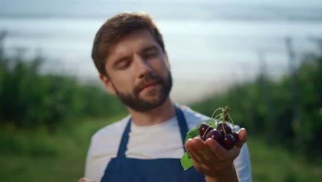 Focused-business-entrepreneur-holding-cherry-at-agriculture-farm.-Farm-concept.