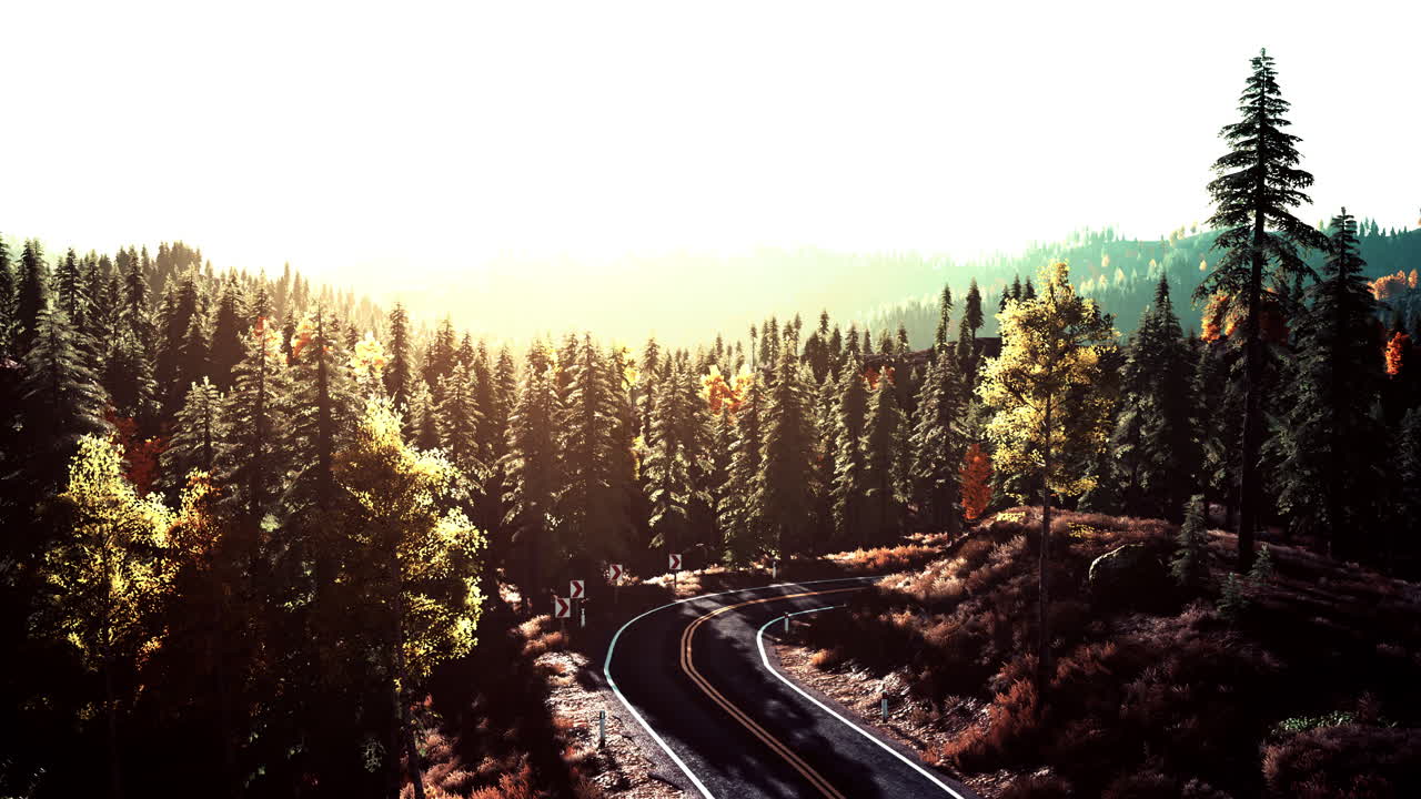 아름다운 숲을 가로질러 운전