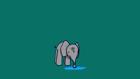 cartoon animals animation 06