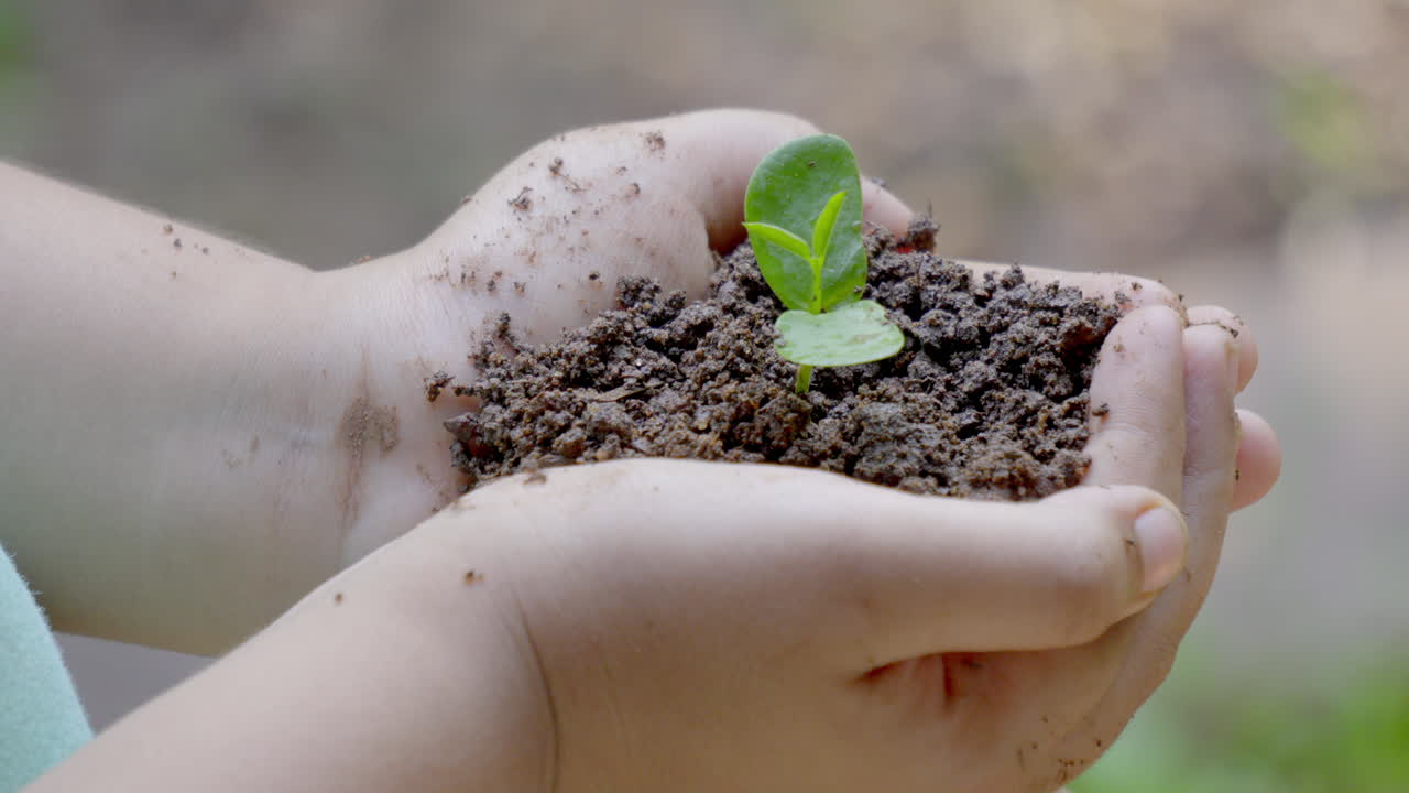 niño con una planta verde cuidando el medio ambiente