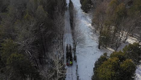 Pferdeschlitten-Zieht-Menschen-Zu-Weihnachten-Durch-Den-Wald,-Hinterer-Winkel