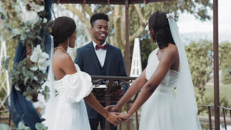 Mujeres,-Boda-Lésbica-Y-Celebración-Al-Aire-Libre.