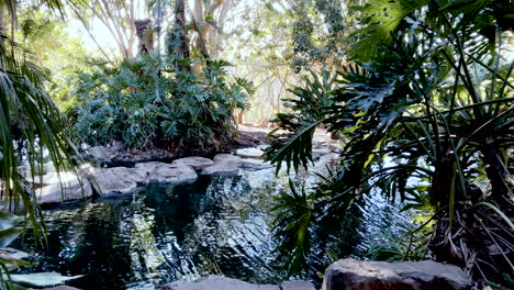 un tranquilo estanque verde alimentado por una cascada que fluye, toowoomba queensland