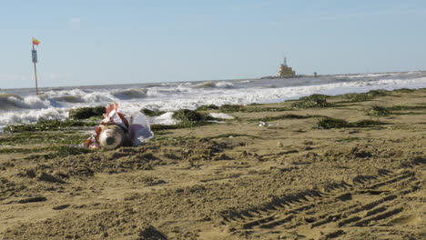 botella de plástico fuera del océano en una playa solitaria en italia