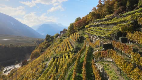 Luftdrohne-über-Den-Weinbergen-In-Italien