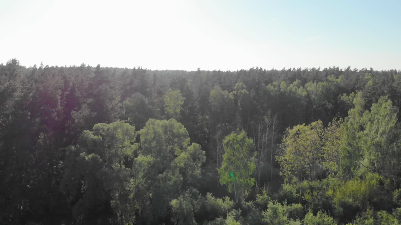 폴란드 포메라니안 지역의 녹색 초원 팬샷