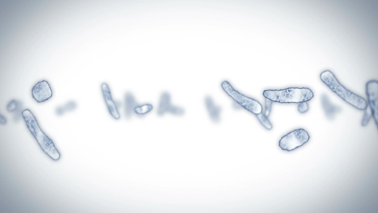 선형 세포 바이러스: 감염을 일으키는 병원성 바이러스: 인간 바이러스의 루프 애니메이션: 박테리아 미생물: 바이러스 질병 발병.