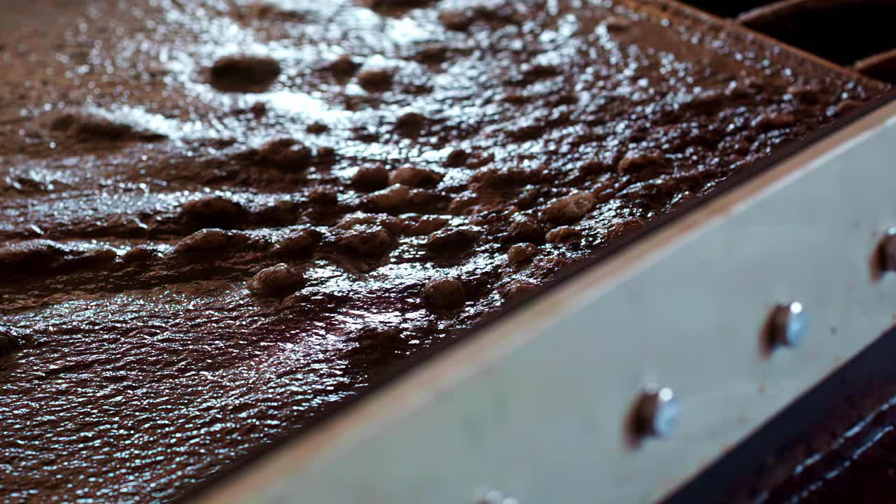 A macro shot shows thick brown sludge and solid waste bubbling on a filtration screen during the purification and sanitation process at an industrial wastewater treatment plant